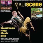 Maui Scene